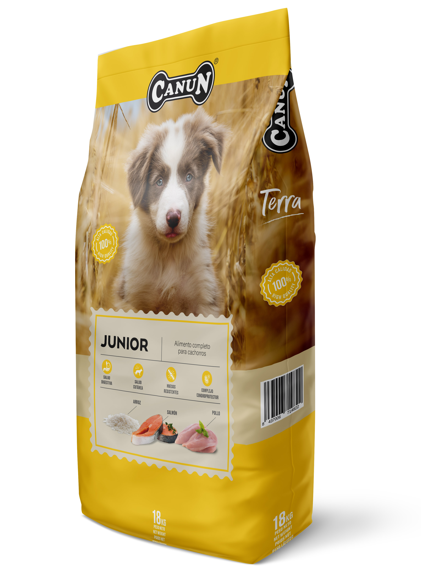 CANUN JUNIOR - PUPPY
