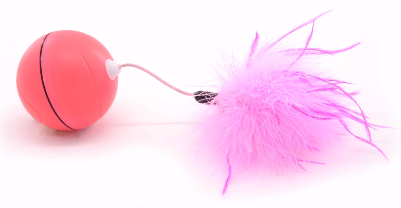 图片1.jpg 图片1.jpg